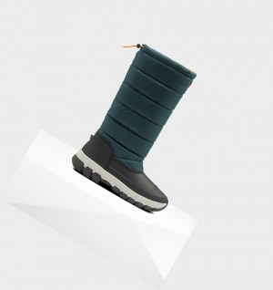 Botas de Neve Hunter Original Insulated Tall Feminino Verdes Cinzentas | DCZWLB035